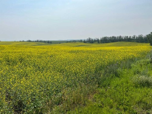 Range Road 263, Rural Red Deer County, AB 
