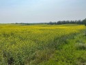 Range Road 263, Rural Red Deer County, AB 