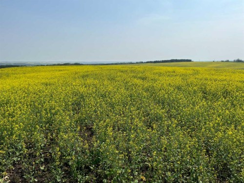 Range Road 263, Rural Red Deer County, AB 