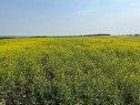 Range Road 263, Rural Red Deer County, AB 