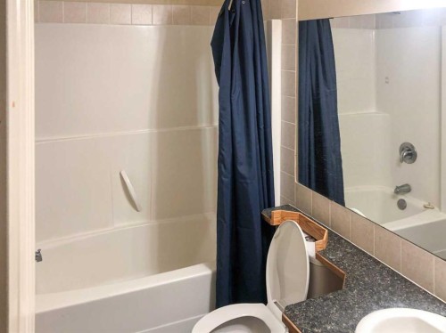 7019 Deer Street, Lacombe, AB - Indoor Photo Showing Bathroom