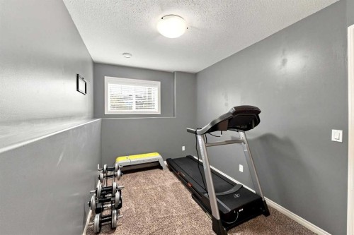 184 Timberstone Way, Red Deer, AB - Indoor Photo Showing Gym Room