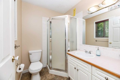4618 55 Avenue, Lacombe, AB - Indoor Photo Showing Bathroom