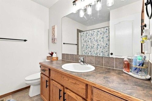 118 Oak Drive, Red Deer, AB - Indoor Photo Showing Bathroom