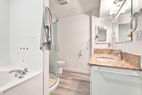 206 Davison Drive, Red Deer, AB - Indoor Photo Showing Bathroom