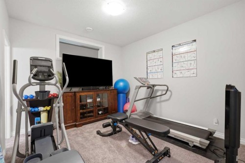 2 Traynor Close, Red Deer, AB - Indoor Photo Showing Gym Room