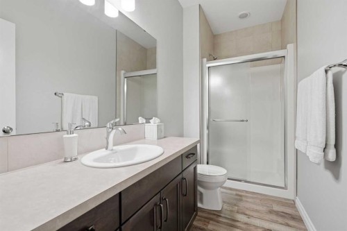 2 Traynor Close, Red Deer, AB - Indoor Photo Showing Bathroom