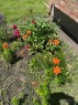 92 Anquetel Street, Red Deer, AB  - Outdoor 