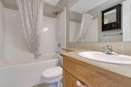 39 Terrace Heights Drive, Lacombe, AB - Indoor Photo Showing Bathroom