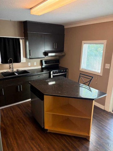 5206 49 Street, Castor, AB - Indoor Photo Showing Kitchen With Double Sink