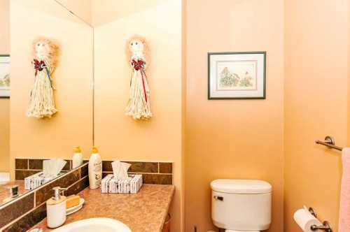 4009 69A Street Close, Camrose, AB - Indoor Photo Showing Bathroom