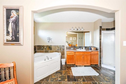 4009 69A Street Close, Camrose, AB - Indoor Photo Showing Bathroom