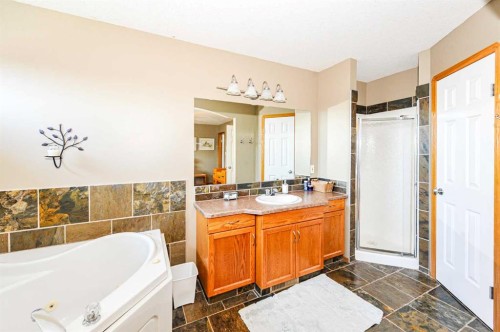 4009 69A Street Close, Camrose, AB - Indoor Photo Showing Bathroom