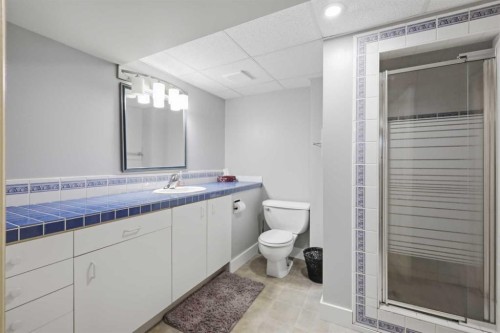 40102 Highway 815, Rural Lacombe County, AB - Indoor Photo Showing Bathroom