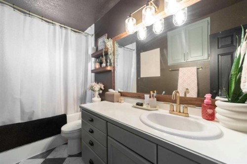 4910 57 Street, Killam, AB - Indoor Photo Showing Bathroom