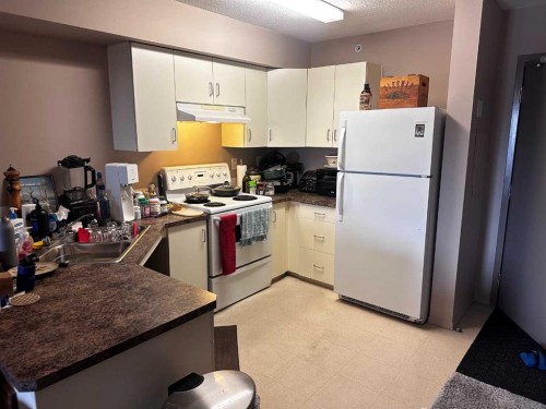 304A-80 Kelloway Crescent, Red Deer, AB - Indoor Photo Showing Kitchen