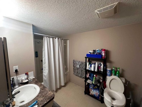 304A-80 Kelloway Crescent, Red Deer, AB - Indoor Photo Showing Bathroom