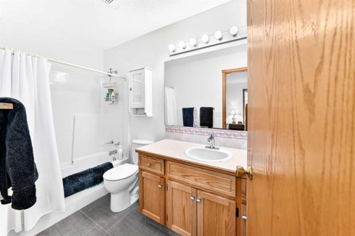 94 Hathaway Lane, Lacombe, AB - Indoor Photo Showing Bathroom