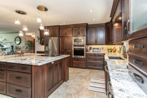 38212 Range Road 252, Rural Lacombe County, AB - Indoor Photo Showing Kitchen With Stainless Steel Kitchen With Upgraded Kitchen