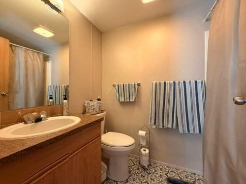 5412 49 A Avenue, Alix, AB - Indoor Photo Showing Bathroom