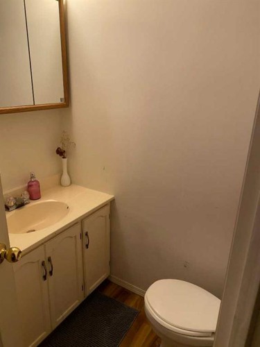 5138 48 Street, Lacombe, AB - Indoor Photo Showing Bathroom