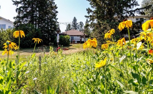 48-40422 Range Road 10, Gull Lake, AB - Outdoor