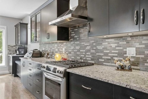 40 Vienna Close, Red Deer, AB - Indoor Photo Showing Kitchen With Upgraded Kitchen