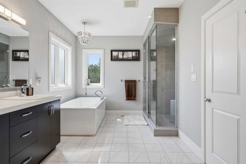 40 Vienna Close, Red Deer, AB - Indoor Photo Showing Bathroom