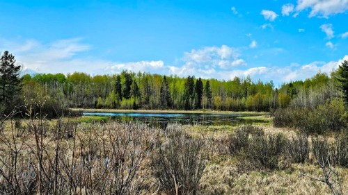 54051 Township Road 351A, Rural Clearwater County, AB - Outdoor With View