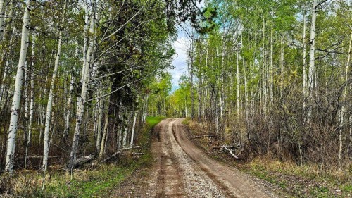 54051 Township Road 351A, Rural Clearwater County, AB - Outdoor With View
