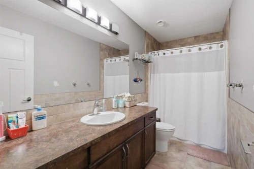 447 Summer Crescent, Rural Ponoka County, AB - Indoor Photo Showing Bathroom