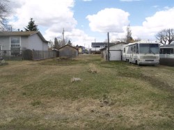 4912 47 Street Clive, AB T0C 0Y0