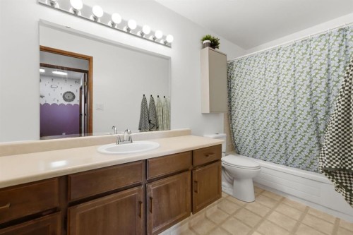 53 Reeves Crescent, Red Deer, AB - Indoor Photo Showing Bathroom