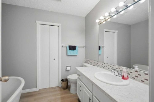4640 47 Street, Sylvan Lake, AB - Indoor Photo Showing Bathroom