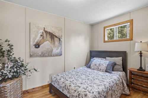 56 Lakeview Avenue, Gull Lake, AB - Indoor Photo Showing Bedroom