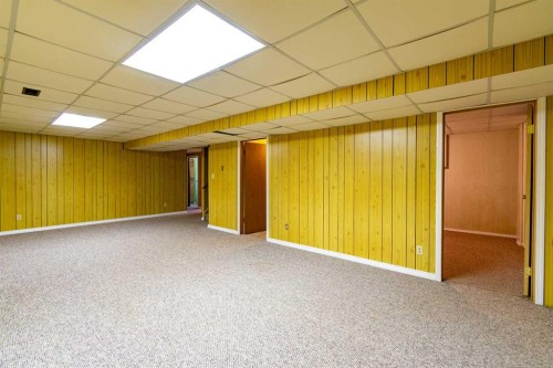 5005 53 Street, Castor, AB - Indoor Photo Showing Basement