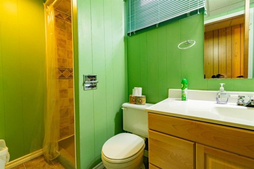 5005 53 Street, Castor, AB - Indoor Photo Showing Bathroom