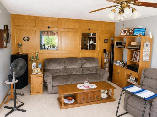 110 Howard Street, Halkirk, AB - Indoor Photo Showing Living Room