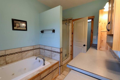 425062 Range Road 250, Rural Ponoka County, AB - Indoor Photo Showing Bathroom