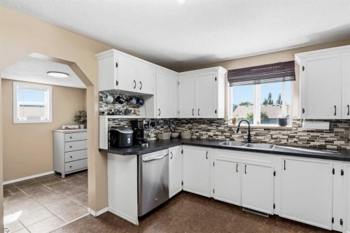 17-829 20 Street, Spruce View, AB - Indoor Photo Showing Kitchen With Double Sink