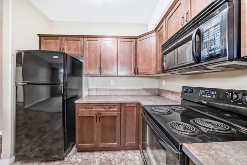 206-69 Ironstone Drive, Red Deer, AB - Indoor Photo Showing Kitchen