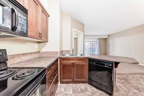 206-69 Ironstone Drive, Red Deer, AB - Indoor Photo Showing Kitchen With Double Sink