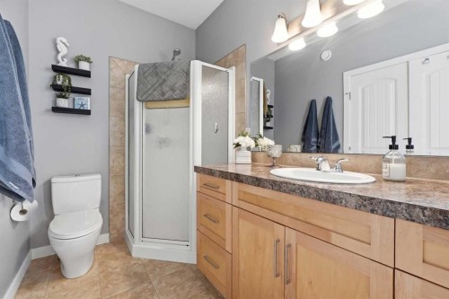 362 Webster Drive, Red Deer, AB - Indoor Photo Showing Bathroom