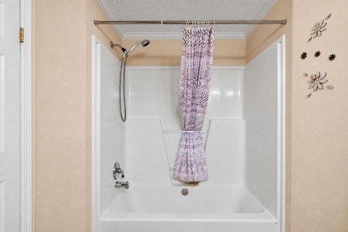 4591 Eastview Crescent, Rimbey, AB - Indoor Photo Showing Bathroom