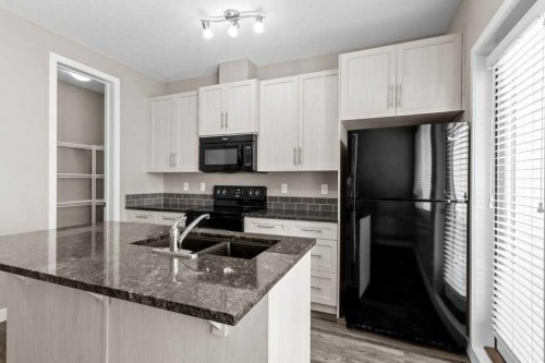 702-125 Caribou Crescent, Red Deer, AB - Indoor Photo Showing Kitchen With Double Sink