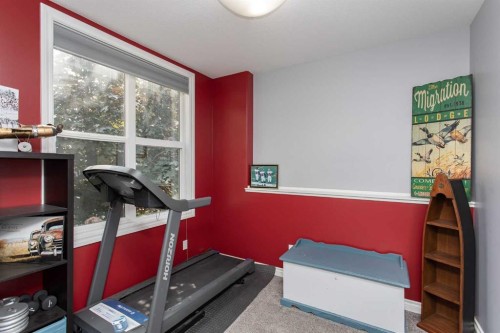 51 Emily Crescent, Lacombe, AB - Indoor Photo Showing Gym Room