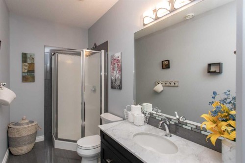 51 Emily Crescent, Lacombe, AB - Indoor Photo Showing Bathroom