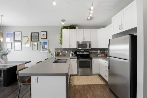161 Crimson Court, Blackfalds, AB - Indoor Photo Showing Kitchen With Stainless Steel Kitchen With Double Sink With Upgraded Kitchen