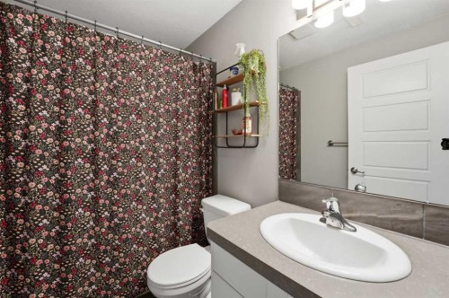 161 Crimson Court, Blackfalds, AB - Indoor Photo Showing Bathroom