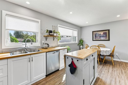 21 Malcolm Crescent, Red Deer, AB - Indoor Photo Showing Kitchen With Double Sink